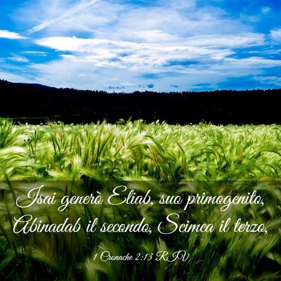 Picture 03 - 1 Cronache 2:13 RIV - Isai generò Eliab, suo primogenito, Abinadab il - Bible Verse Picture