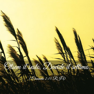Picture 03 - 1 Cronache 2:15 RIV - Otsem il sesto, Davide il - Bible Verse Picture