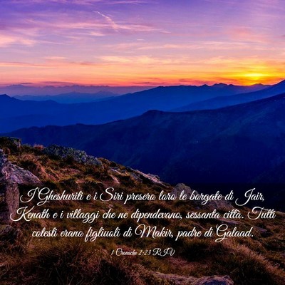 Picture 03 - 1 Cronache 2:23 RIV - I Gheshuriti e i Siri presero loro le borgate di - Bible Verse Picture