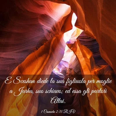 Picture 03 - 1 Cronache 2:35 RIV - E Sceshan diede la sua figliuola per moglie a - Bible Verse Picture