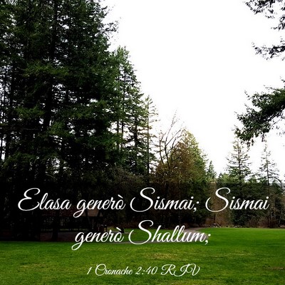 Picture 03 - 1 Cronache 2:40 RIV - Elasa generò Sismai; Sismai generò - Bible Verse Picture