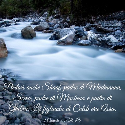 Picture 03 - 1 Cronache 2:49 RIV - Partorì anche Shaaf, padre di Madmanna, Sceva, - Bible Verse Picture