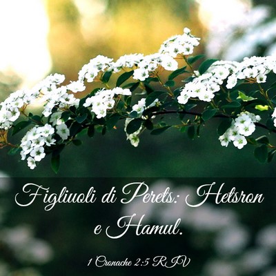 Picture 03 - 1 Cronache 2:5 RIV - Figliuoli di Perets: Hetsron e - Bible Verse Picture