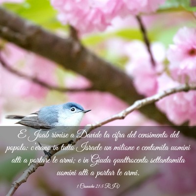 Picture 03 - 1 Cronache 21:5 RIV - E Joab rimise a Davide la cifra del censimento - Bible Verse Picture