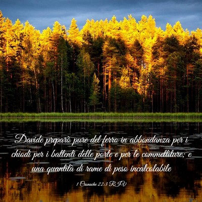 Picture 03 - 1 Cronache 22:3 RIV - Davide preparò pure del ferro in abbondanza per - Bible Verse Picture