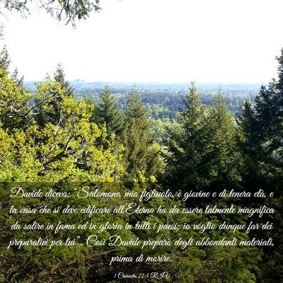 Picture 03 - 1 Cronache 22:5 RIV - Davide diceva: “Salomone, mio figliuolo, è - Bible Verse Picture