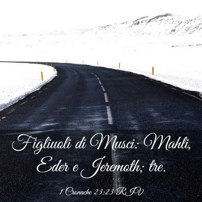 Picture 03 - 1 Cronache 23:23 RIV - Figliuoli di Musci: Mahli, Eder e Jeremoth; - Bible Verse Picture