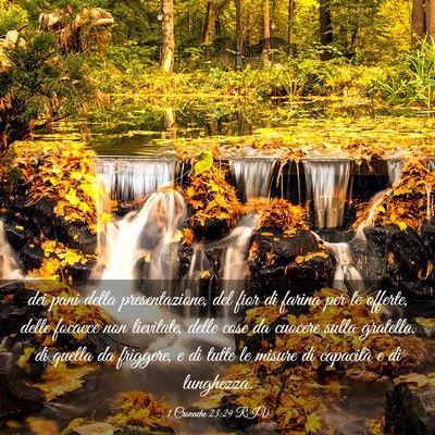Picture 03 - 1 Cronache 23:29 RIV - dei pani della presentazione, del fior di farina - Bible Verse Picture