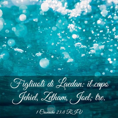 Picture 03 - 1 Cronache 23:8 RIV - Figliuoli di Laedan: il capo Jehiel, Zetham, - Bible Verse Picture