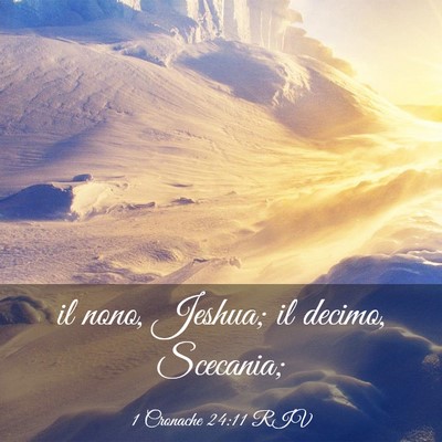 Picture 03 - 1 Cronache 24:11 RIV - il nono, Jeshua; il decimo, - Bible Verse Picture