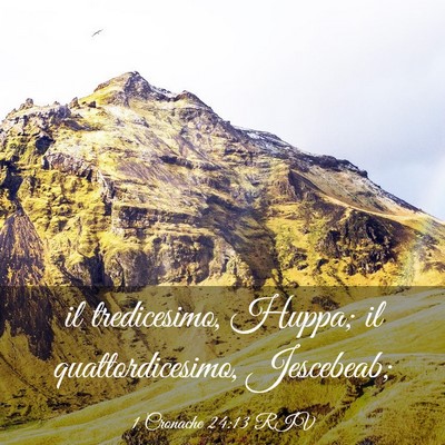 Picture 03 - 1 Cronache 24:13 RIV - il tredicesimo, Huppa; il quattordicesimo, - Bible Verse Picture