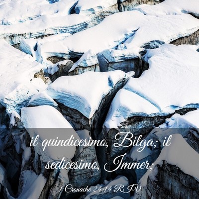 Picture 03 - 1 Cronache 24:14 RIV - il quindicesimo, Bilga; il sedicesimo, - Bible Verse Picture