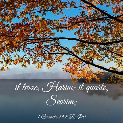 Picture 03 - 1 Cronache 24:8 RIV - il terzo, Harim; il quarto, - Bible Verse Picture