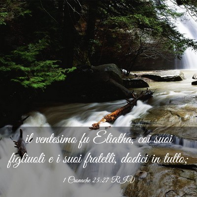 Picture 03 - 1 Cronache 25:27 RIV - il ventesimo fu Eliatha, coi suoi figliuoli e i - Bible Verse Picture