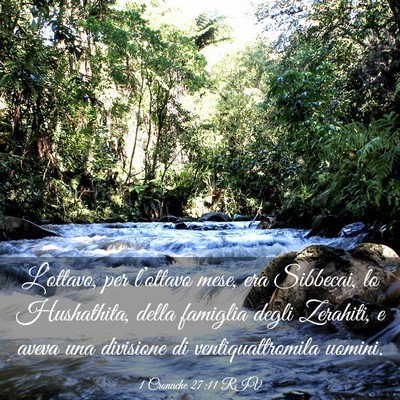Picture 03 - 1 Cronache 27:11 RIV - L’ottavo, per l’ottavo mese, era Sibbecai, lo - Bible Verse Picture