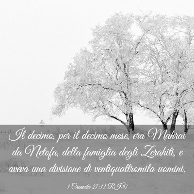 Picture 03 - 1 Cronache 27:13 RIV - Il decimo, per il decimo mese, era Mahrai da - Bible Verse Picture