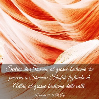 Picture 03 - 1 Cronache 27:29 RIV - Scitrai da Sharon, al grosso bestiame che pasceva - Bible Verse Picture