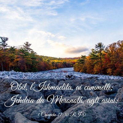 Picture 03 - 1 Cronache 27:30 RIV - Obil, l’Ishmaelita, ai cammelli; Jehdeia da - Bible Verse Picture