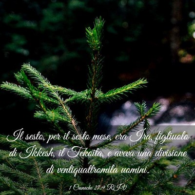 Picture 03 - 1 Cronache 27:9 RIV - Il sesto, per il sesto mese, era Ira, figliuolo - Bible Verse Picture