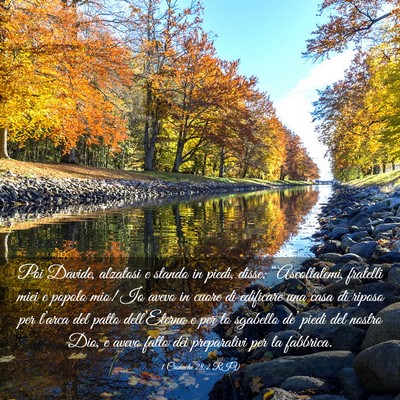 Picture 03 - 1 Cronache 28:2 RIV - Poi Davide, alzatosi e stando in piedi, disse: - Bible Verse Picture