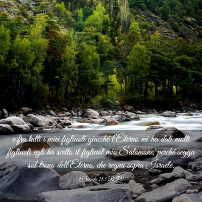 Picture 03 - 1 Cronache 28:5 RIV - e fra tutti i miei figliuoli giacché l’Eterno - Bible Verse Picture