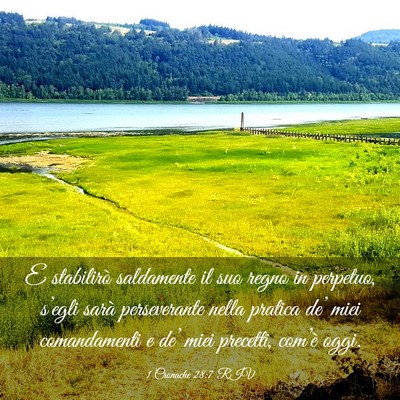 Picture 03 - 1 Cronache 28:7 RIV - E stabilirò saldamente il suo regno in perpetuo, - Bible Verse Picture