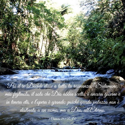 Picture 03 - 1 Cronache 29:1 RIV - Poi il re Davide disse a tutta la raunanza: - Bible Verse Picture