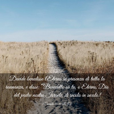 Picture 03 - 1 Cronache 29:10 RIV - Davide benedisse l’Eterno in presenza di tutta - Bible Verse Picture