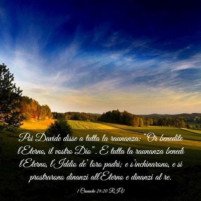 Picture 03 - 1 Cronache 29:20 RIV - Poi Davide disse a tutta la raunanza: “Or - Bible Verse Picture