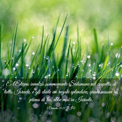 Picture 03 - 1 Cronache 29:25 RIV - E l’Eterno innalzò sommamente Salomone nel - Bible Verse Picture