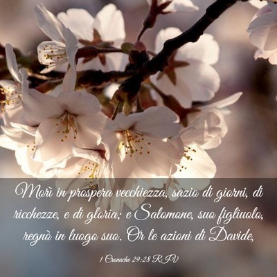Picture 03 - 1 Cronache 29:28 RIV - Morì in prospera vecchiezza, sazio di giorni, di - Bible Verse Picture