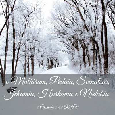 Picture 03 - 1 Cronache 3:18 RIV - e Malkiram, Pedaia, Scenatsar, Jekamia, Hoshama e - Bible Verse Picture