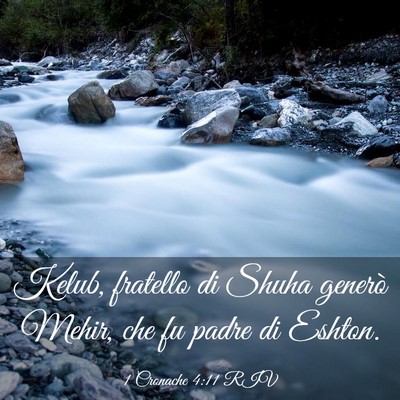 Picture 03 - 1 Cronache 4:11 RIV - Kelub, fratello di Shuha generò Mehir, che fu - Bible Verse Picture
