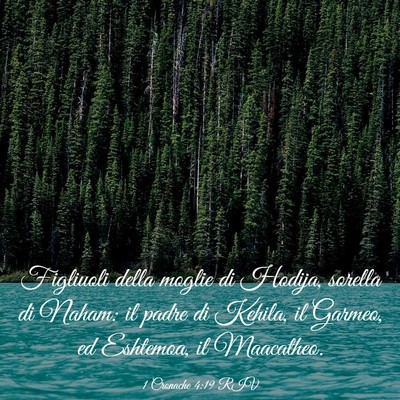 Picture 03 - 1 Cronache 4:19 RIV - Figliuoli della moglie di Hodija, sorella di - Bible Verse Picture