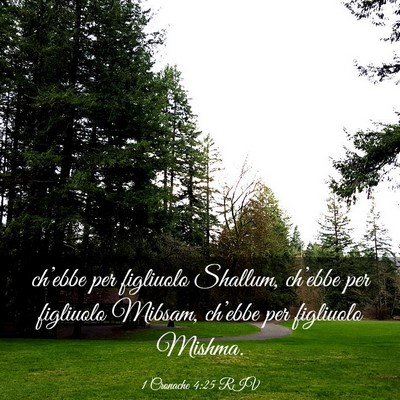 Picture 03 - 1 Cronache 4:25 RIV - ch’ebbe per figliuolo Shallum, ch’ebbe per - Bible Verse Picture