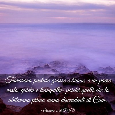 Picture 03 - 1 Cronache 4:40 RIV - Trovarono pasture grasse e buone, e un paese - Bible Verse Picture