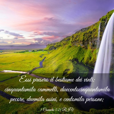 Picture 03 - 1 Cronache 5:21 RIV - Essi presero il bestiame dei vinti: cinquantamila - Bible Verse Picture