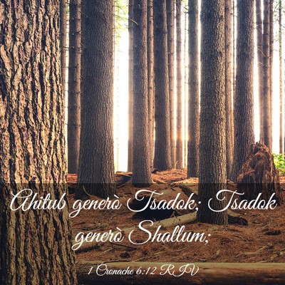 Picture 03 - 1 Cronache 6:12 RIV - Ahitub generò Tsadok; Tsadok generò - Bible Verse Picture
