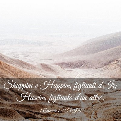 Picture 03 - 1 Cronache 7:12 RIV - Shuppim e Huppim, figliuoli d’Ir; Huscim, - Bible Verse Picture