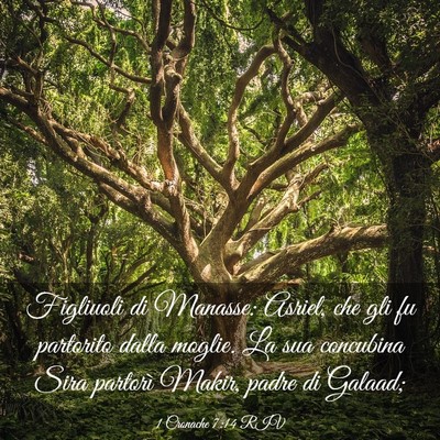 Picture 03 - 1 Cronache 7:14 RIV - Figliuoli di Manasse: Asriel, che gli fu - Bible Verse Picture