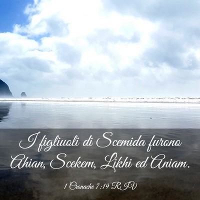 Picture 03 - 1 Cronache 7:19 RIV - I figliuoli di Scemida furono Ahian, Scekem, - Bible Verse Picture