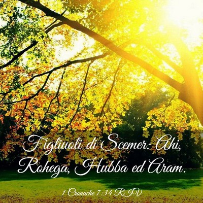 Picture 03 - 1 Cronache 7:34 RIV - Figliuoli di Scemer: Ahi, Rohega, Hubba ed - Bible Verse Picture