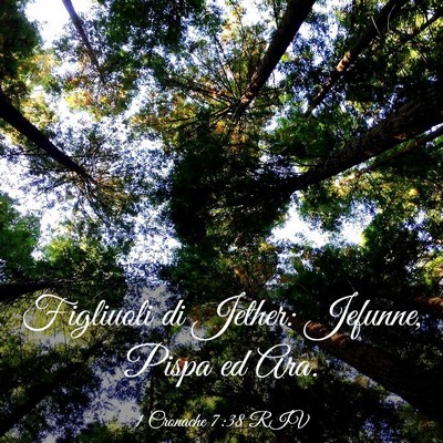 Picture 03 - 1 Cronache 7:38 RIV - Figliuoli di Jether: Jefunne, Pispa ed - Bible Verse Picture