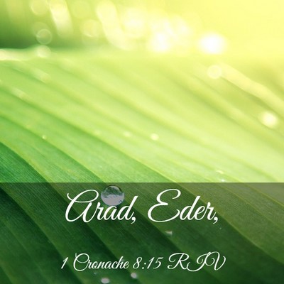 Picture 03 - 1 Cronache 8:15 RIV - Arad, - Bible Verse Picture