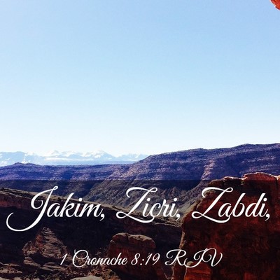 Picture 03 - 1 Cronache 8:19 RIV - Jakim, Zicri, - Bible Verse Picture