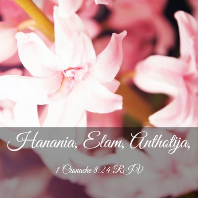 Picture 03 - 1 Cronache 8:24 RIV - Hanania, Elam, - Bible Verse Picture