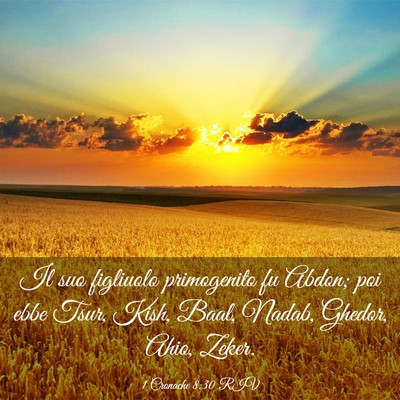 Picture 03 - 1 Cronache 8:30 RIV - Il suo figliuolo primogenito fu Abdon; poi ebbe - Bible Verse Picture