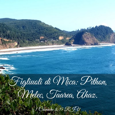 Picture 03 - 1 Cronache 8:35 RIV - Figliuoli di Mica: Pithon, Melec, Taarea, - Bible Verse Picture