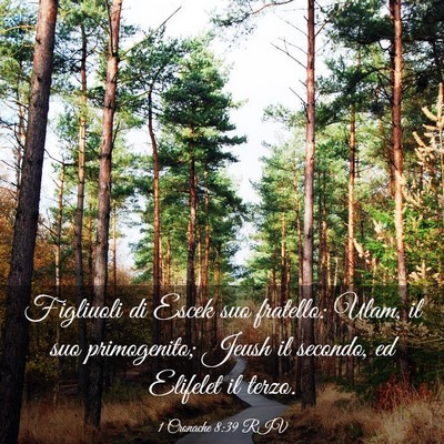 Picture 03 - 1 Cronache 8:39 RIV - Figliuoli di Escek suo fratello: Ulam, il suo - Bible Verse Picture