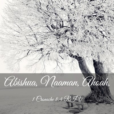 Picture 03 - 1 Cronache 8:4 RIV - Abishua, Naaman, - Bible Verse Picture